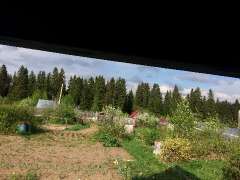 Фото: Земельный участок СНТ,есть дачный домик и саженцы