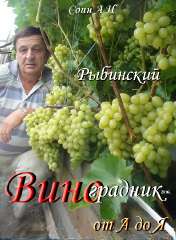 Объявление с Фото - Саженцы винограда