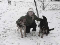 Фото: Дрессировка щенков в Зеленограде ,Фирсановке