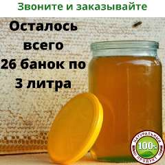 Фото: Мёд из фацелии и липы башкирский