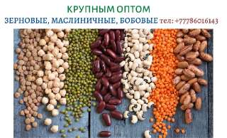 Фото: Экспорт с Казахстана зерновых, масличных и бобовых