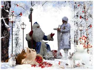 Фото: Вызов Деда Мороза и Снегурочки на дом.