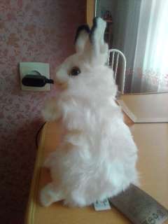 Фото: абсолютно новый Белый Кролик Мягкая Игрушка