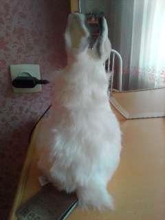 Фото: абсолютно новый Белый Кролик Мягкая Игрушка