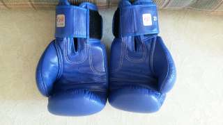 Фото: Боксерские перчатки Raja.