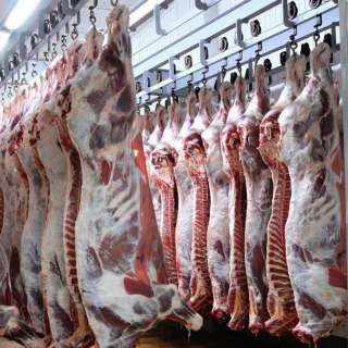 Фото: Производство и оптовые продажи мяса в ассортименте