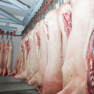 Фото: Производство и оптовые продажи мяса в ассортименте