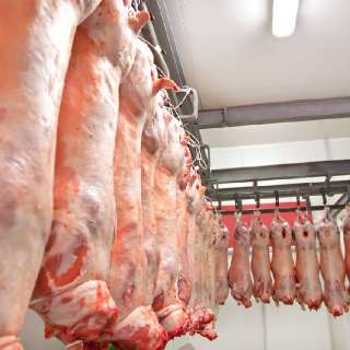 Фото: Производство мяса в ассортименте,  оптом