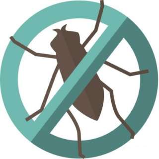 Объявление с Фото - Профессиональное уничтожение насекомых, грызунов