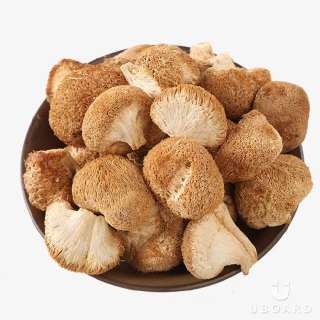 Фото: лечебные грибы шиитаке, чага и др