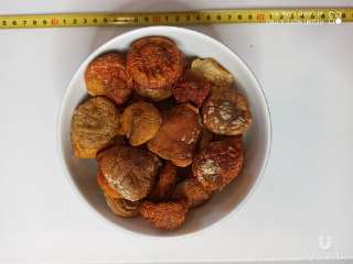 Фото: лечебные грибы шиитаке, чага и др