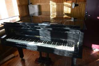 Фото: Зарубежные пианино и рояли
