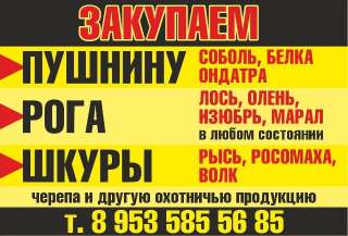 Объявление с Фото - Закупка охотничьей продукции по всей сибири (ДОРОГ