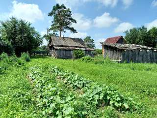 Объявление с Фото - Земельный участок с домом в селе Волково