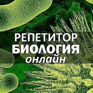 Фото: Биология с экспертом онлайн