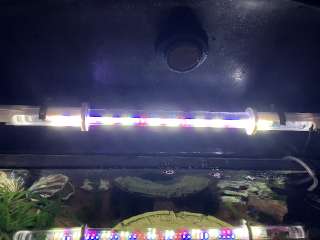 Фото: Led светильник aquael leddy tube retrofit (plant)
