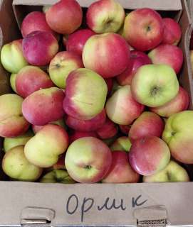 Фото: Реализуем яблоки