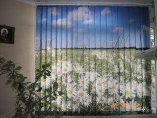 Фото: Рулонные шторы для окон