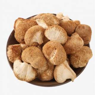 Фото: лечебных грибов: шиитаке, чага, мухомор кр