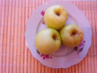 Фото: Яблоки эко яблоки из своего сада