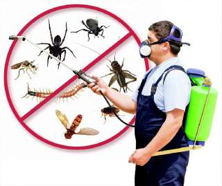 Объявление с Фото - Товары для борьбы с насекомыми и грызунами.