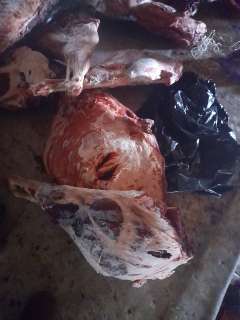 Фото: Мясо баранина изюбрь свинина