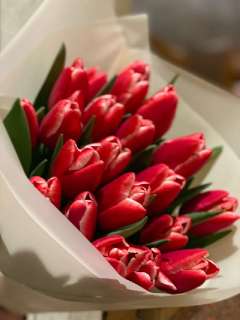 Фото: Тюльпаны оптом к 8 марта