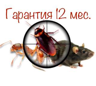 Объявление с Фото - Уничтожение тараканов клопов блох крыс клещей