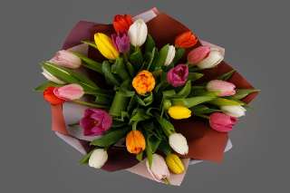 Фото: Цветы оптом тюльпаны