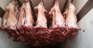 Фото: Мясо говядины Курицы Бройлер Суповая Баранина