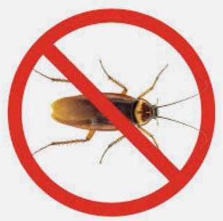 Объявление с Фото - Уничтожение насекомых