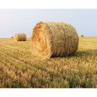 Объявление с Фото - Предлагаем сено многолетних трав