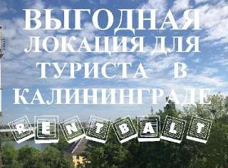 Фото: Выгодная локация для туриста в Калининграде