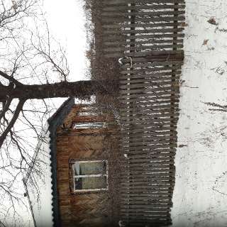 Фото: Дом брусовой,у леса в селе введенском