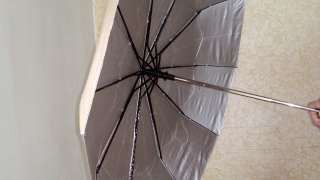 Фото: Зонт по своей цене