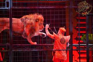 Фото: Цирк шапито "Колизеум" шоу львов и тигров