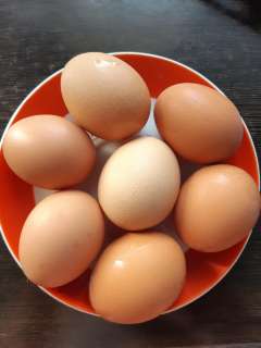 Объявление с Фото - Домашние куриные яйца