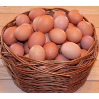 Объявление с Фото - Яйцо куриное домашнее, свежее. со своего хозяйства