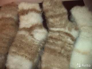 Фото: Носки из собачьей шерсти