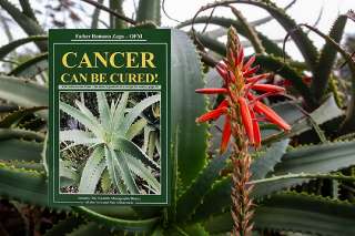 Объявление с Фото - Перевод книги Романо Заго "Рак можно вылечить"
