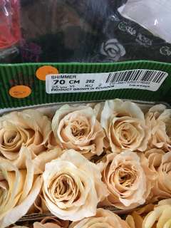 Объявление с Фото - Цветы за полцены (розы, хризантемы, пионы)