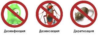 Объявление с Фото - Уничтожение насекомых,дезинсекция тараканов клопов