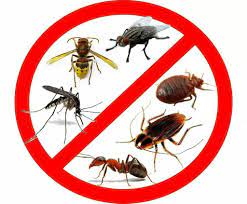 Объявление с Фото - Обработка от клещей, муравьев, тараканов