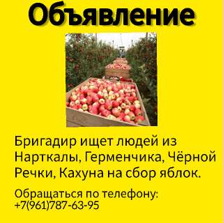 Объявление с Фото - Требуются люди на сбор яблок.