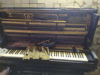 Фото: Реставрация, ремонт пианино и роялей. Настройка