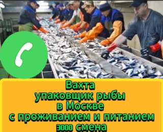 Объявление с Фото - Упаковщик рыбы в Москве с проживанием и питанием