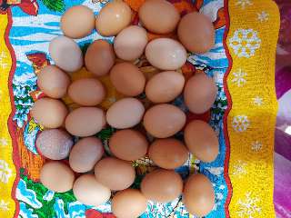 Объявление с Фото - Яйца домашние куриные всегда свежие и очень вкусны