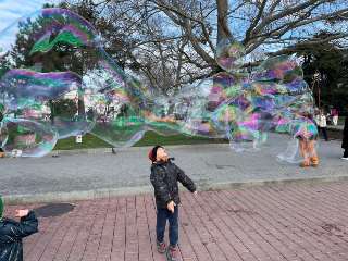 Фото: Шоу Мыльных Пузырей