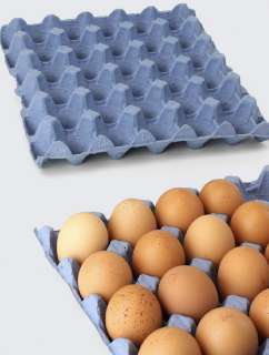 Фото: Линия для переработки макулатуры (лотки для яиц)