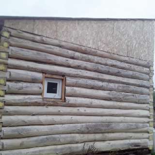 Фото: Дача с домом из бревна